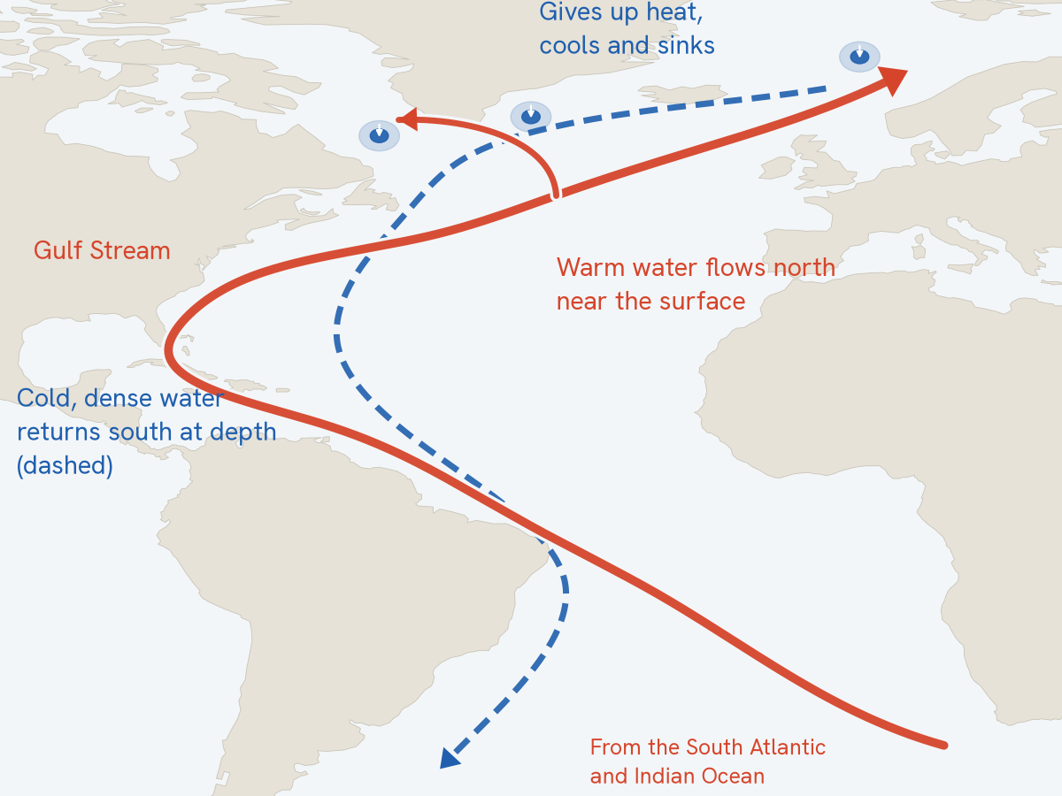 Map of the Atlantic: a red arrow carries warm surface water from the South Atlantic past the Caribbean and up the Gulf Stream to the far North Atlantic, where it sinks; a dashed blue arrow carries cold deep water back south along the American side of the ocean.